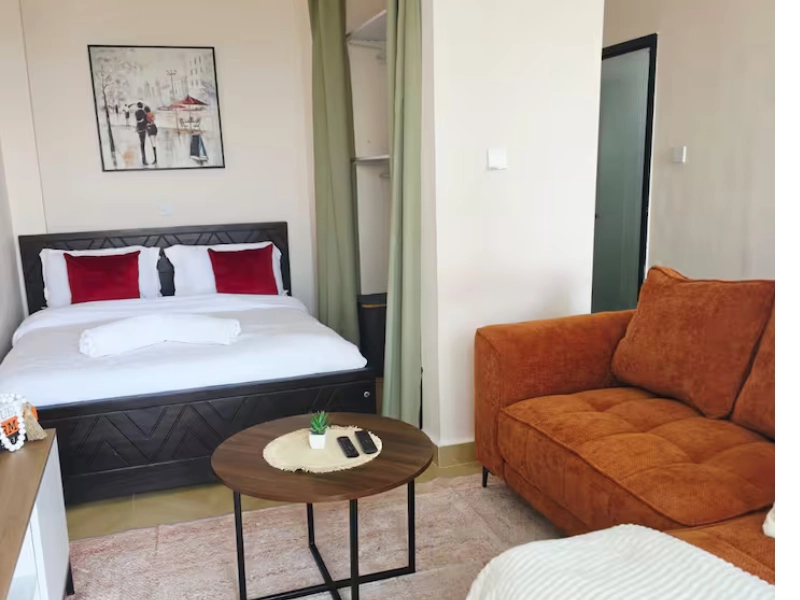 Artesano studio apartment Syokimau interior 49sqm open plan lounge balcony