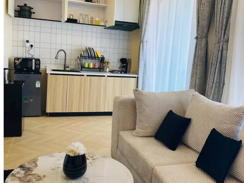 artesano studio apartment syokimau interior living area 49sqm image 1